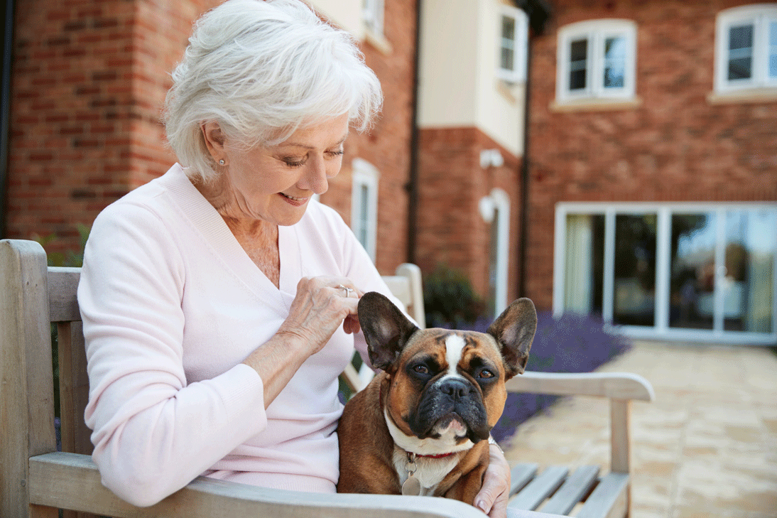 senior-woman-sitting-on-bench-with-pet-french-bull-2021-04-02-20-01-48-utc-1